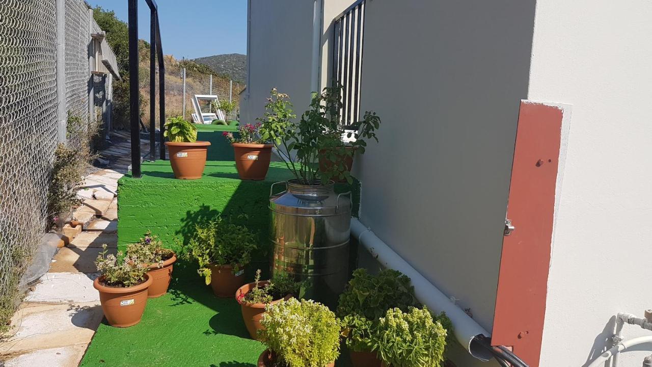 Anatoli Studios Agios Fokas  Exteriér fotografie